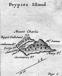 Pepys Island