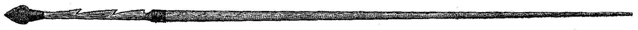 Scammon - Aleutian Islanders Whale Harpoon