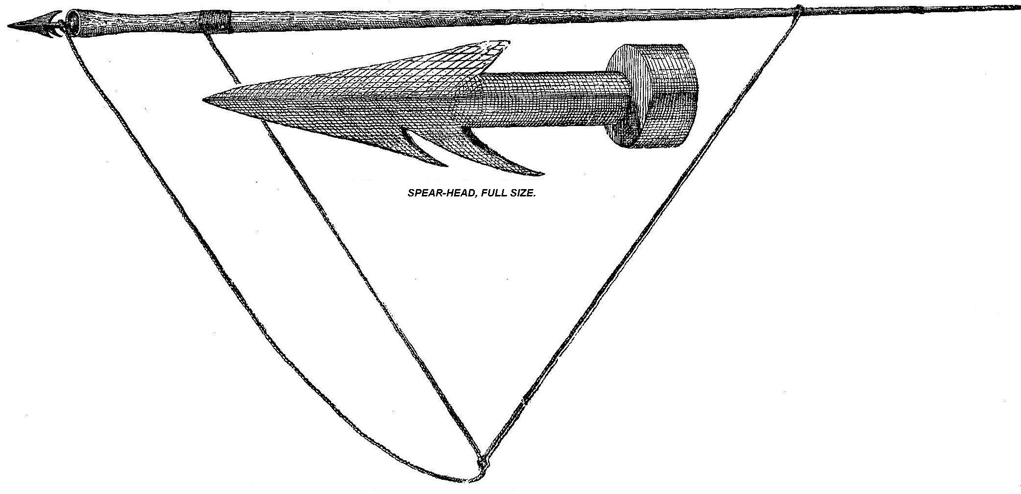 Scammon - Aleutian Islander's Sea-Otter Spear. Spear-Head, Full Size.