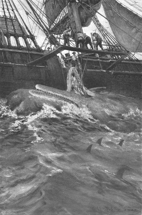 Cutting-in the Whale