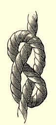 Figure of eight knot