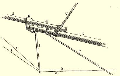 Dolphin-striker, or martingale