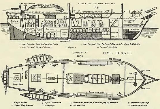 Fig. 16