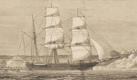 Detail of Bark Kathleen