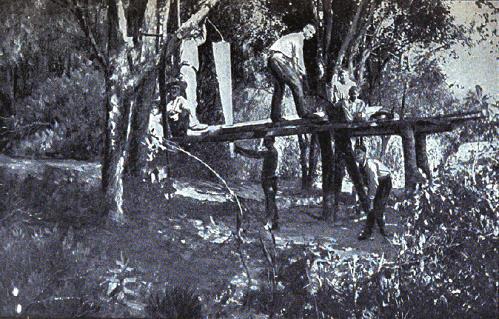 The Island Sawmill.