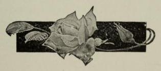 Rose panel