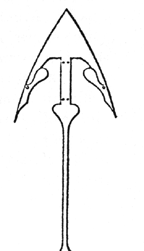 Christison Harpoon Modification