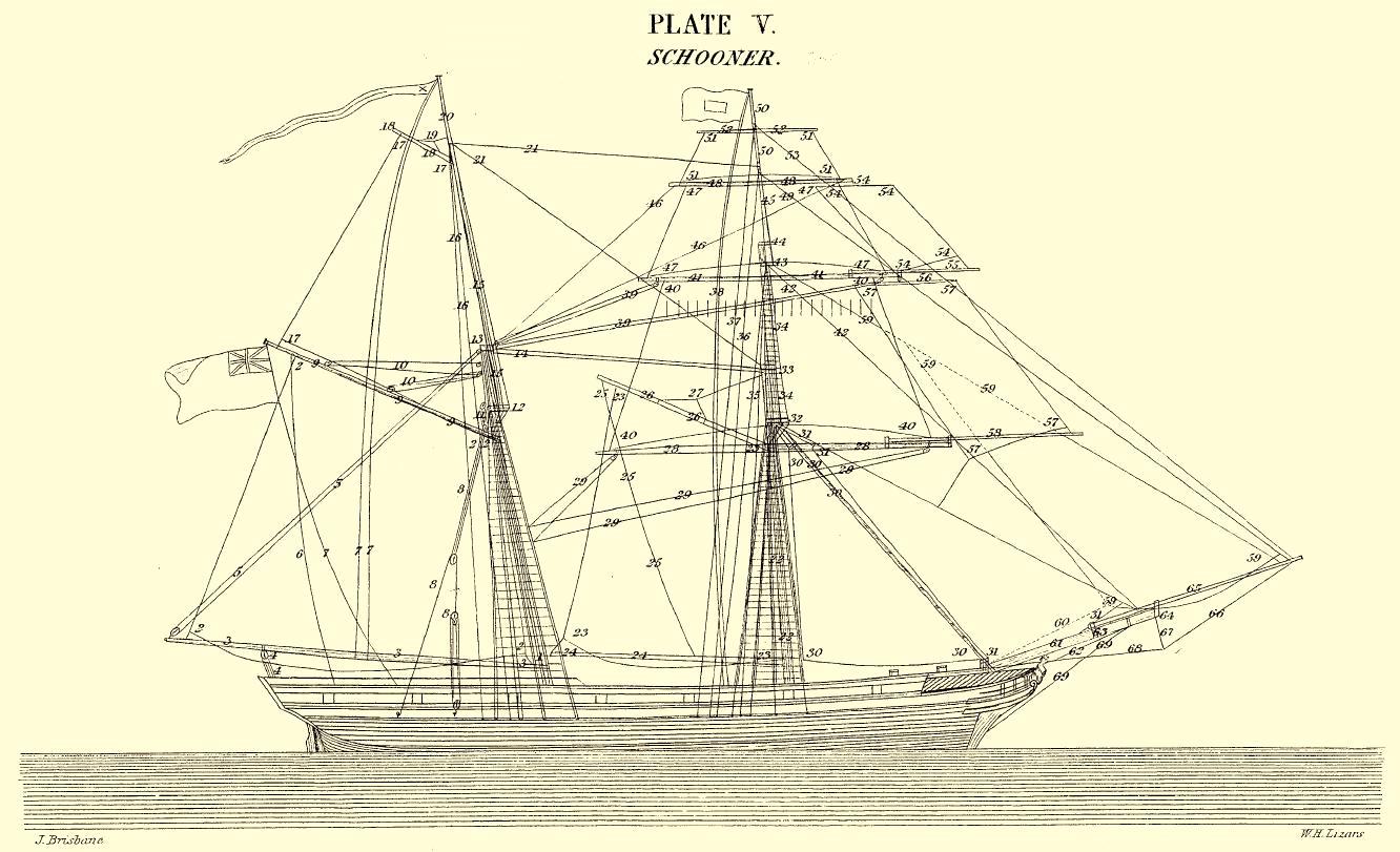 Barque